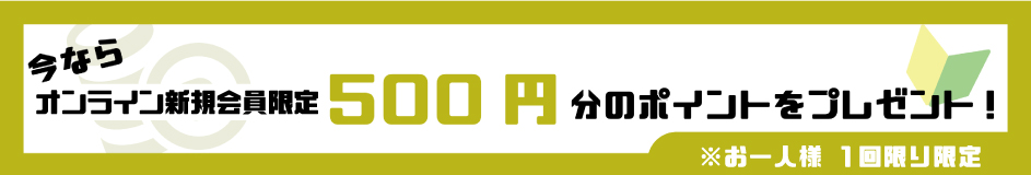 新規会員登録で500ポイントプレゼント