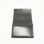 sho-lo1c-bk-aurora