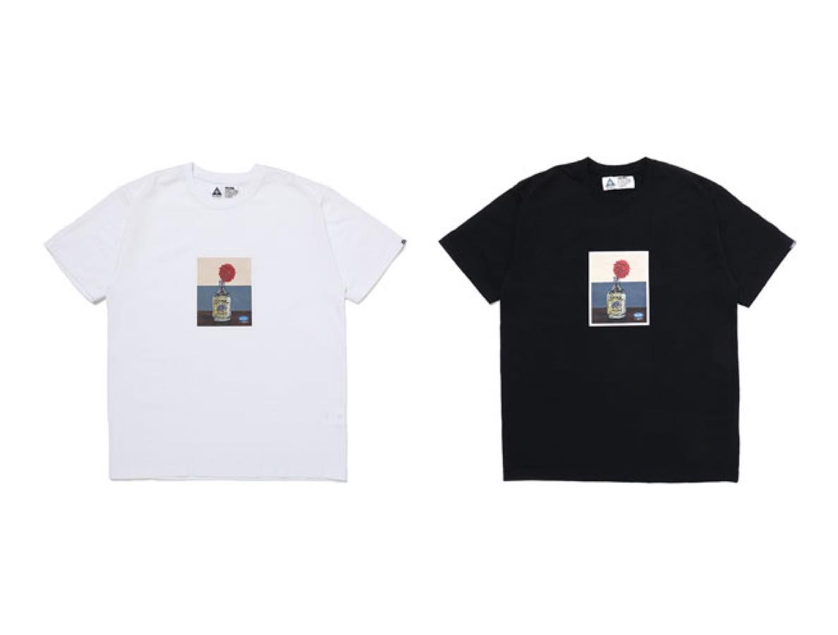 CLG-TS 023-003