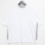ST231CS001