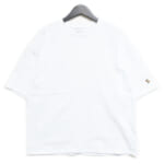 ST231CS009