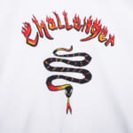CLG-TS023-010