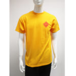 CLG-TS023-040