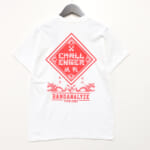 CLG-TS023-040