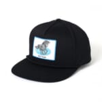 CLG-AC023-036