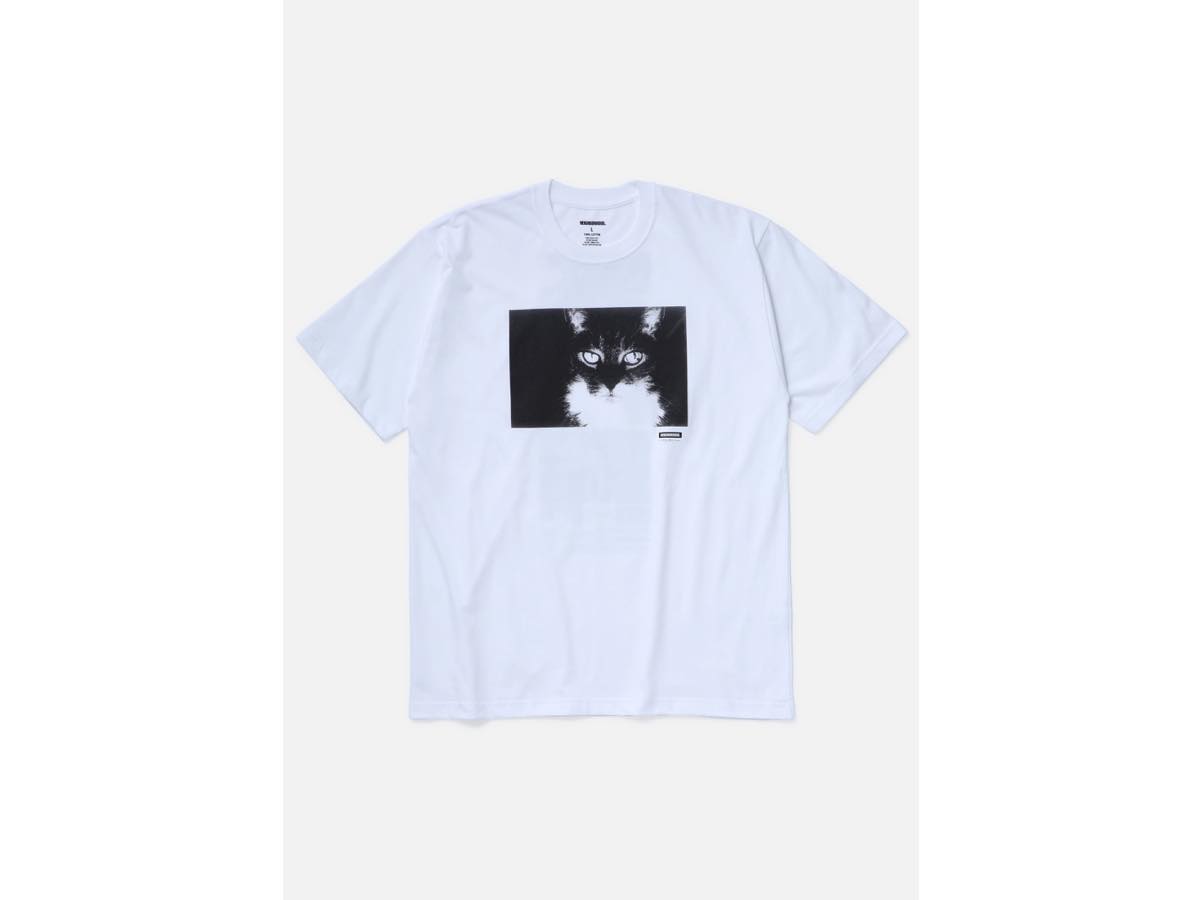 251PCNON-ST02