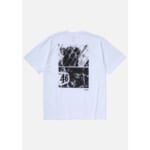 251PCNON-ST05