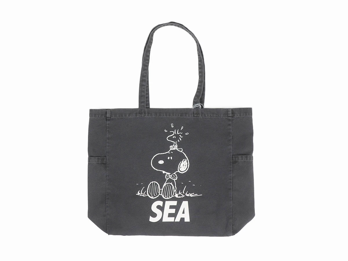 WDS-C-SMT-26-Q1-AC-01