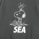 WDS-C-SMT-26-Q1-CS-05