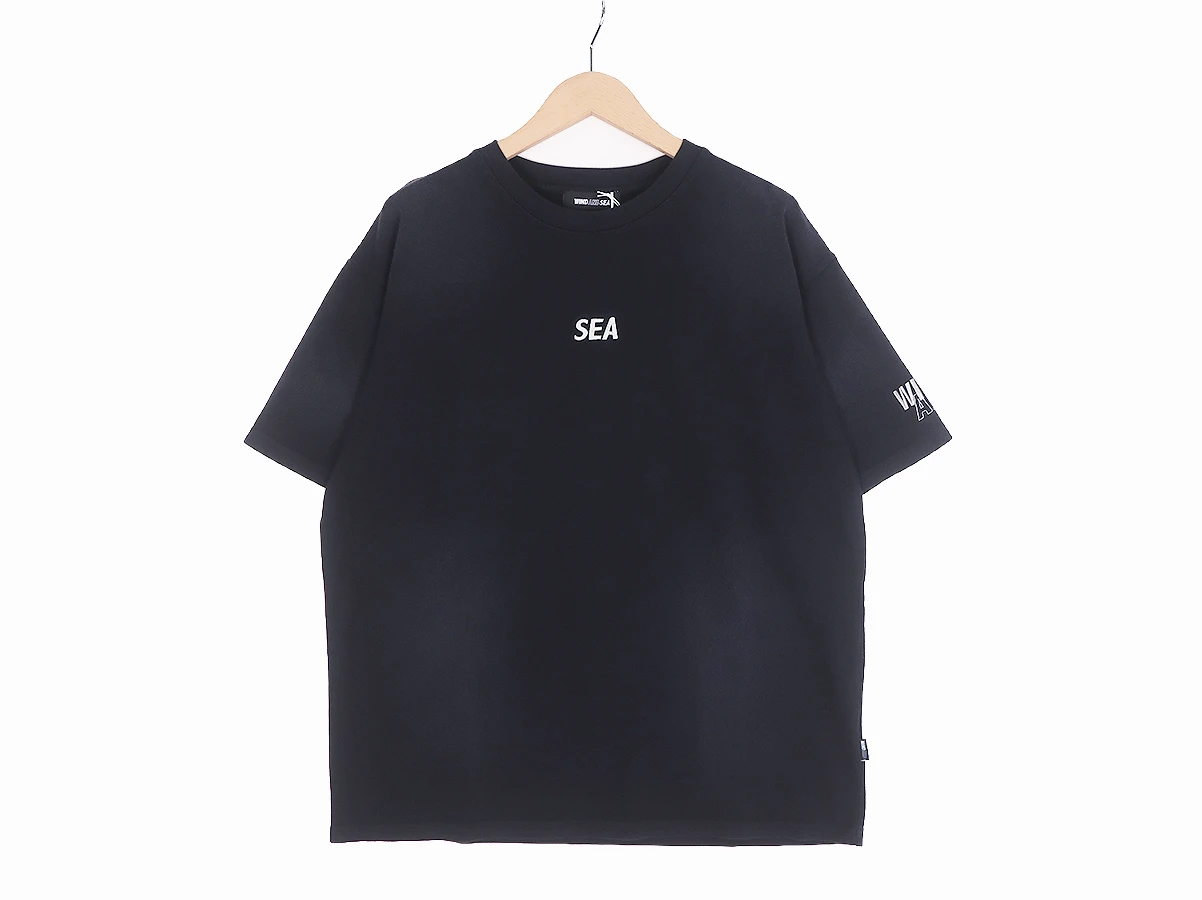 WDS-O-ESD-26-Q2-CS-05