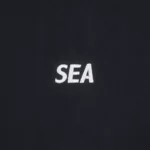 WDS-O-ESD-26-Q2-CS-05